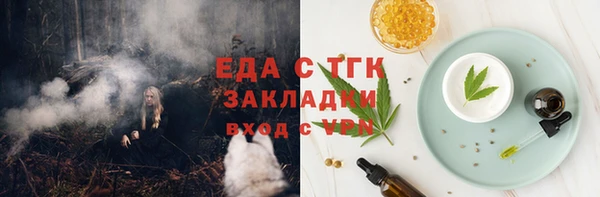 шишки Корсаков