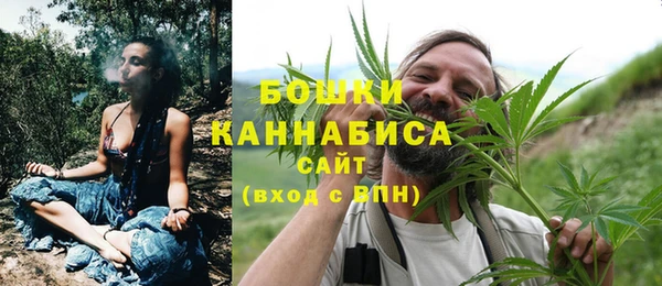 шишки Корсаков