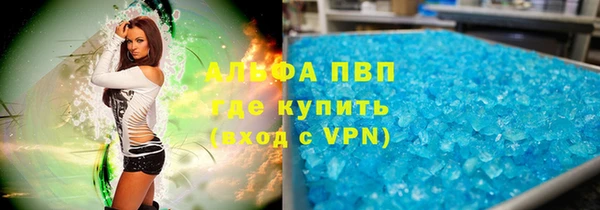 шишки Корсаков