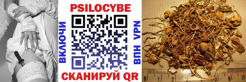 Псилоцибиновые грибы Cubensis  Купить закладки  Никольск 